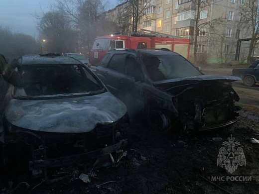 В Ново-Талицах на Радужной ночью сгорели две иномарки